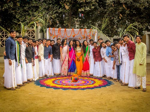 Pongal - 2019