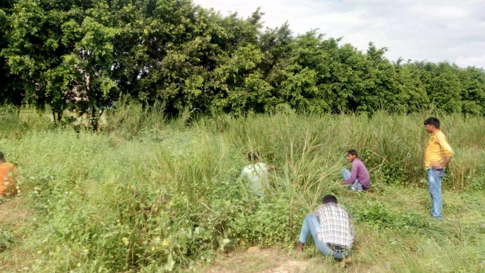 Swachh Bharat Mission (Noida)